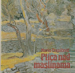 Ptica nad maslinama