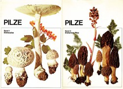 Pilze I-II