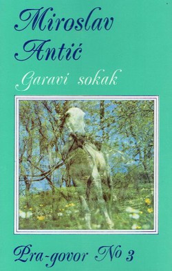 Garavi sokak (Pra-govor No 3)