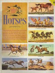 A Golden Stamp Book. Horses