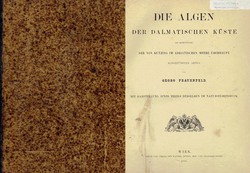 Die Algen der dalmatischen Küste