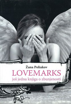 Lovemarks. Još jedna knjiga o zbunjenosti