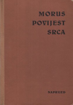 Povijest srca