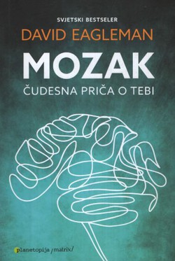 Mozak. Čudesna priča o tebi