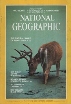 National Geographic 11/1981