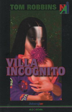 Villa Incognito