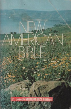 New American Bible