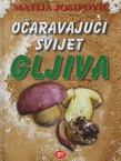 Očaravajući svijet gljiva