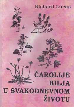 Čarolije bilja u svakodnevnom životu